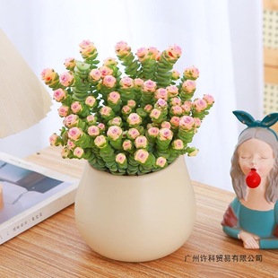 �X������С������ؔ����ֲ���k���҃��̨�Gֲ���˻����B��R�d