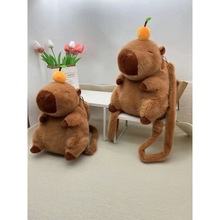 СtˮëqpŮ2024¿ɐˮС