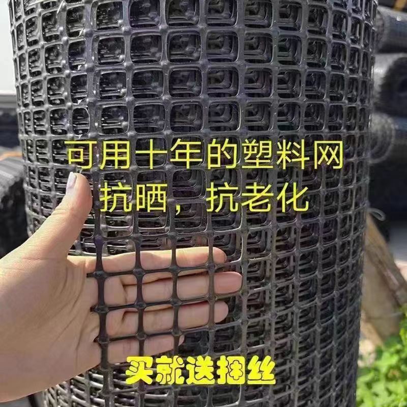 养鸡塑料网格围栏网拦鸡网家用玉米养殖网鱼塘防护网围栏户外栅栏