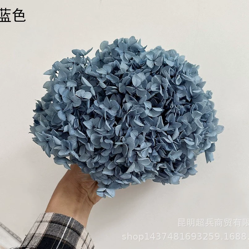 [Вечная Life Flower Hydrangea] Анна Градиентный цвет Лист Hydramid Книга цветов оптом DIY цветочная коробка материал для просмотра