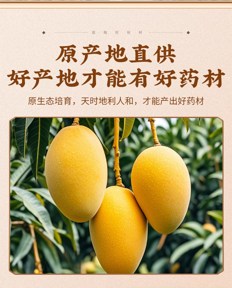 Dried Mango Seed Kernel Mang Guo He Mangifera indica Traditional Herbal Ingredient 500g key features