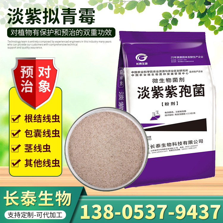 淡紫紫孢菌农用蔬菜瓜果微生物菌 粉剂 农用微生物菌剂