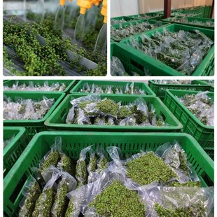 �ٽ����r�໨���Ĵ��خa350g��ձ��r�»������齷�r���ٽ��r����