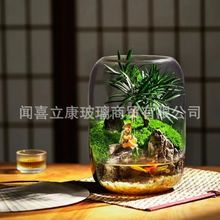 生命之树现代简约微景观创意大肚玻璃花瓶办公桌苔藓鲜绿植生态瓶