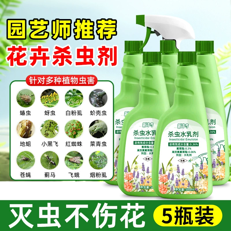 Цветочный инсектицид Растение в горшках мясистые розы