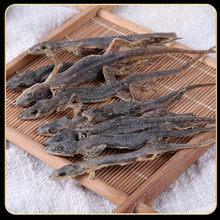 �ڻ��ɱڻ� �����ڻ����ڻ����۶�N��؛��؛��؛��؛