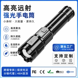 手电筒;头灯头戴电筒;提灯