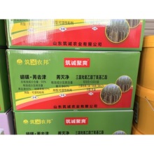 ����l����������ó��݄�80%ݬ��� ����ݬȥ�� ������������