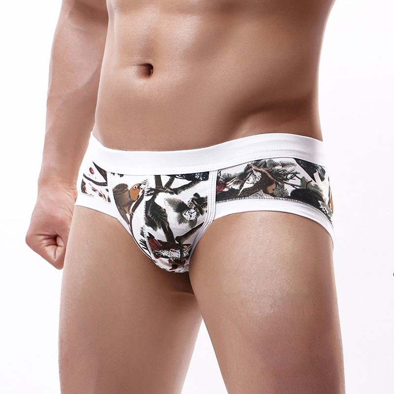New Foreign Trade Men's Underwear Briefs Printed Cotton Underwear Fashion Sexy Breathable Shorts for Young Men Low Waist Pants