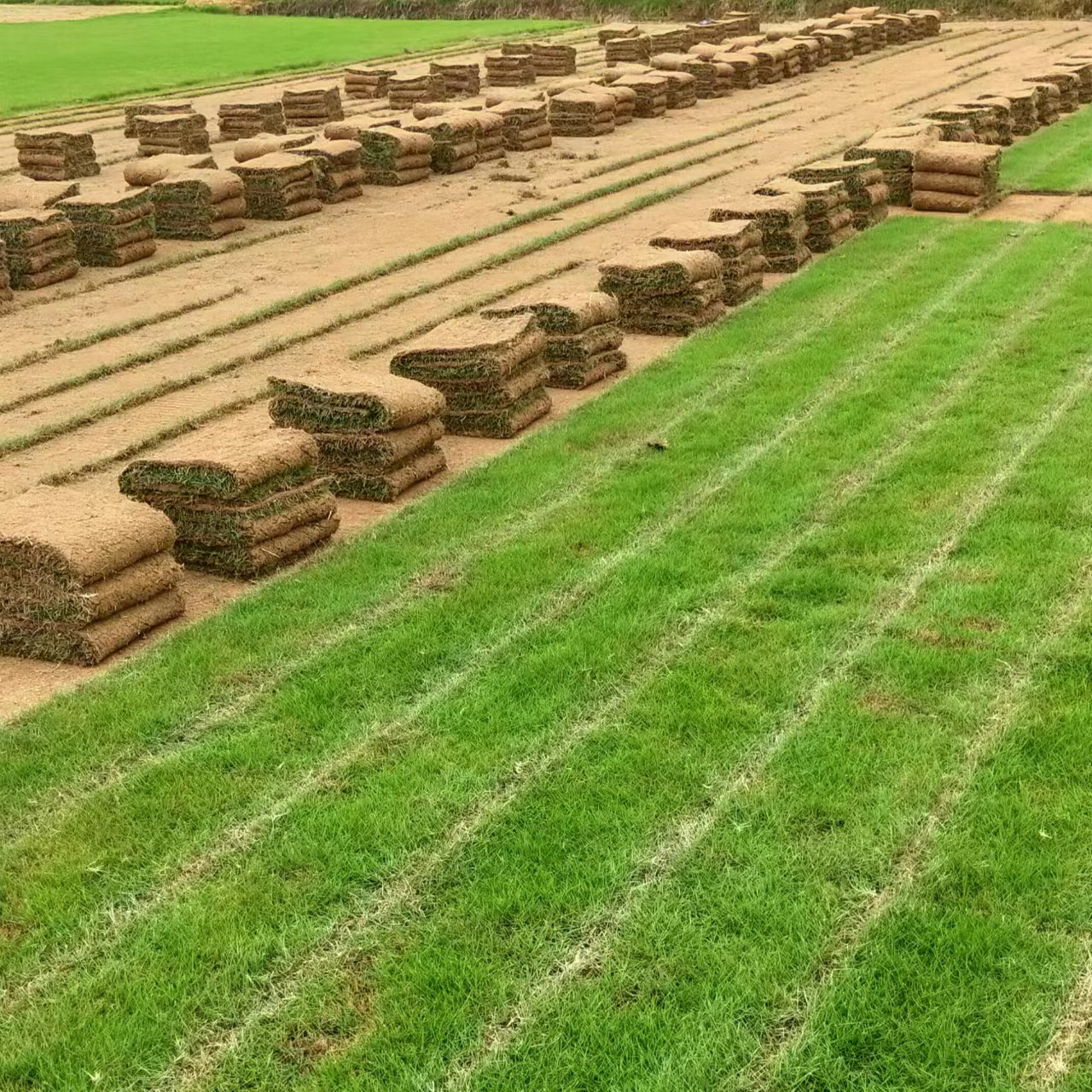 f9d0ff5cb7d67f49b9258b1c5efddb