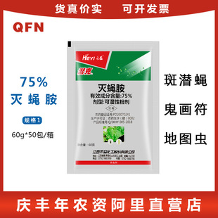 �������� ���� 75%��ω�� �ߝ�ω ��ω���������؈D�x���~ω60��