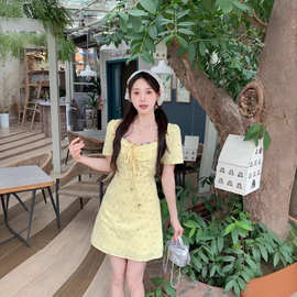 有内里大码女装法式碎花短袖连衣裙2025新款女夏季显瘦A字短裙女
