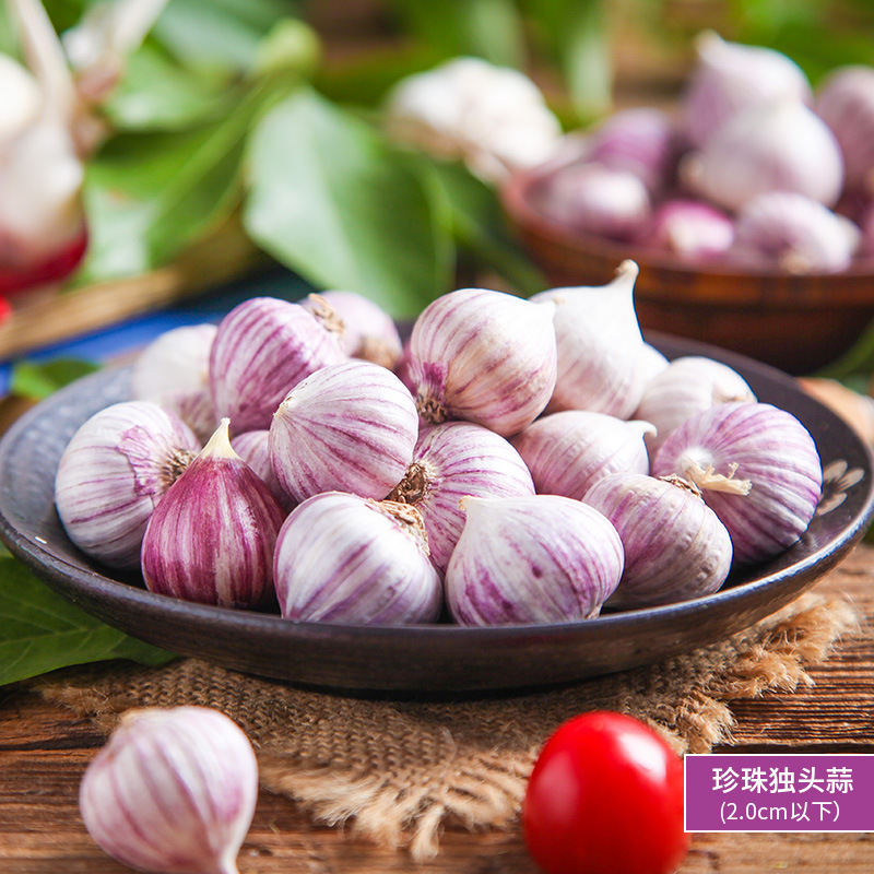 진주단두마늘(2cm 이하) 500g은 아주 작습니다.