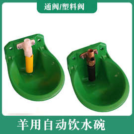 羊用自动饮水碗铜阀饮水器水槽羊用加厚饮水器养羊设备养殖器械