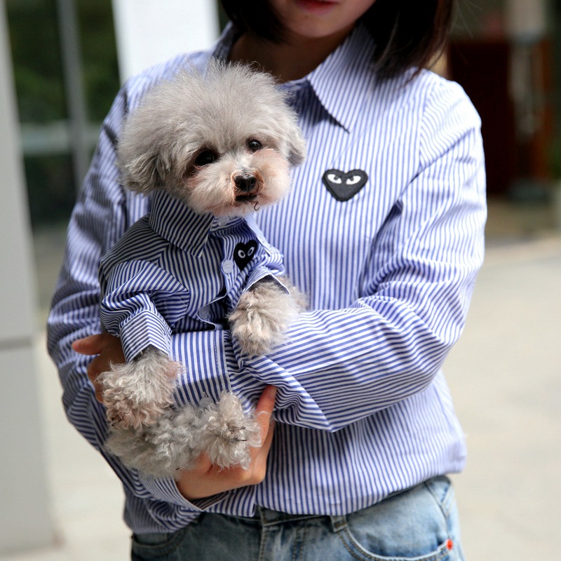 애완 동물과 주인의 부모-자식 고양이 곰 테디 개 옷 봄과 가을 얇은 여름 옷 봄과 여름 라인 ZHAO ZHISUN