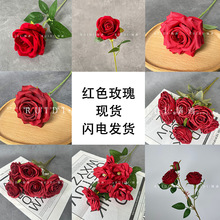 ���¼tɫõ�廨�Ƶ��c��̨�[���ٻ��Ҿ��b�ˇ�羳������滨