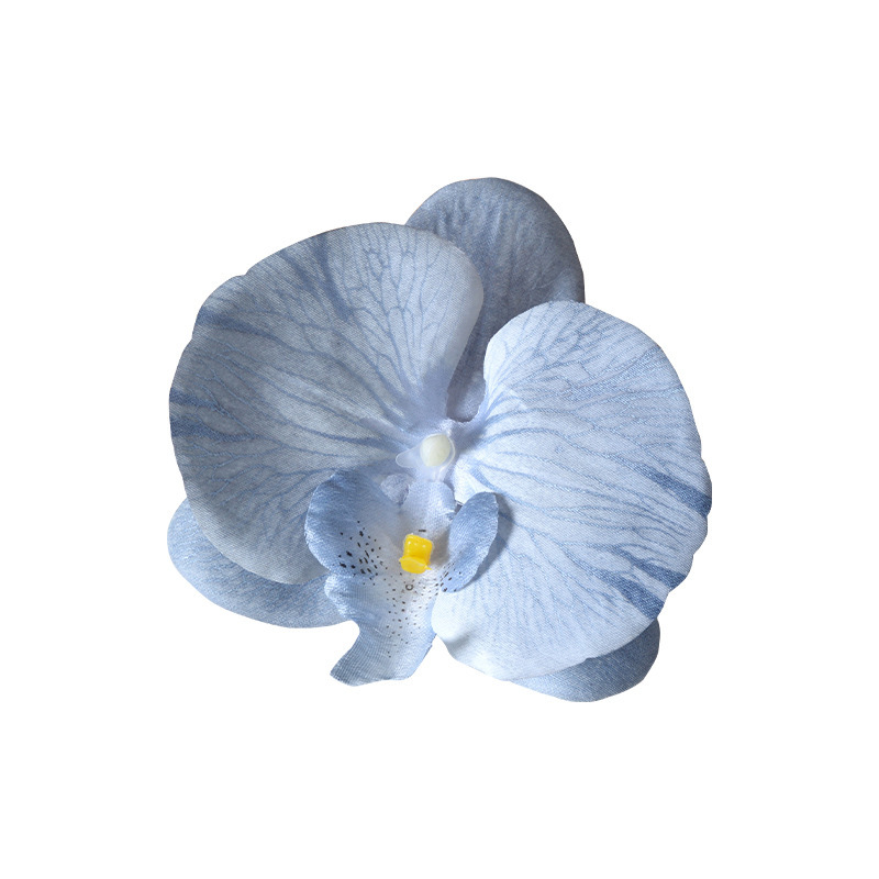 胡蝶蘭の花の頭は花びらの部品をシミュレーションします。|undefined