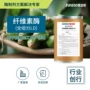 提取植物食品槟榔纤维素酶