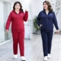 新款春季运动长袖女装