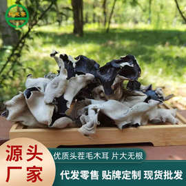 山东头茬大朵无头白背毛木耳一斤干脆高泡发率凉拌下粉产地直销
