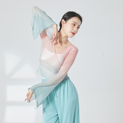 Classical dance practice clothes, rhyme clothes, gauze clothes, Chinese dance dance clothes, women's elegant tops, body performance clothes