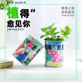 小花农趣味种植系列情绪稳定花盆治愈盆栽植物迷你绿植厂家批发