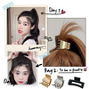 Ponytail, small crab pin, hairpins, shark, hair accessory, hairgrip, South Korea, clips included