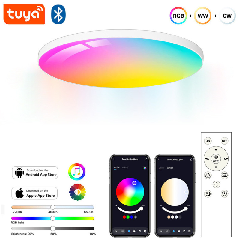 Graffiti Bluetooth Smart Ceiling Light Alexa Google Ultra Thin Simple Bluetooth RGBCW Colorful Bedroom Light
