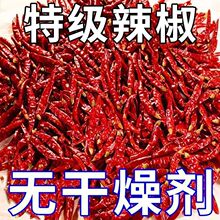 2025������؛ ���� ������ħ�������㳯�콷�������l��؛�������
