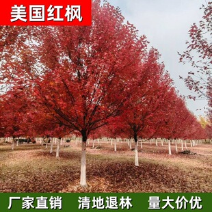 �S��ֱ�N�����t�� �����t�� �t��ʮ�¹��x�t���y�t�ʲ��~��Ҏ��ȫ