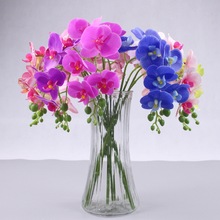 3D7头软胶蝴蝶兰 胶片pu保湿手感高档装饰兰花家居装饰婚庆仿真花
