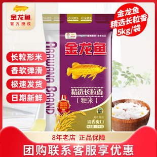 �����~�L����5KG�����������׷�������׾�������|������