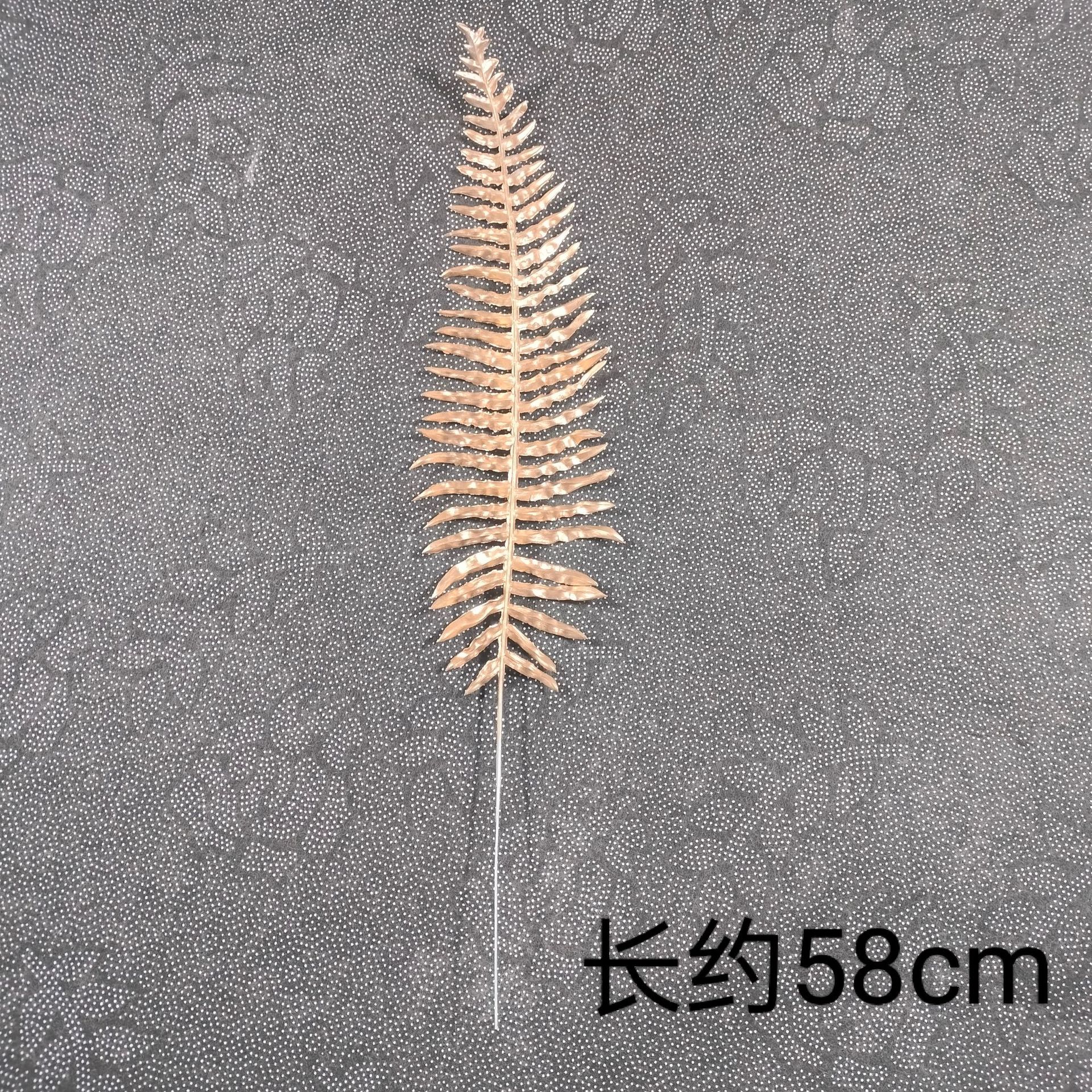 골드 모델 6