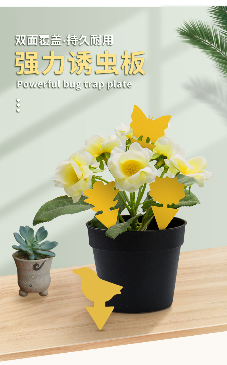 O1CN01NfnoHQ276Az5X3d4g_!!2209505357747-0-cib.jpg?__r__=1746342877945