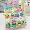A random box of MZ small potted flowers and building blocks