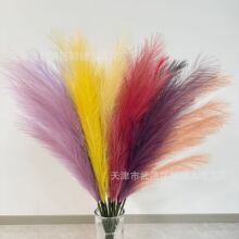 ins�JȔ7��90cm����˹�ݻ�c�廨�쾰�ٻ�ë�q��Ȕ������Ҿ��b��