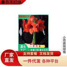 ��피tϞ���ذ�N���M��Ϟ��o��ˮ���B�o���˺��B������Y��