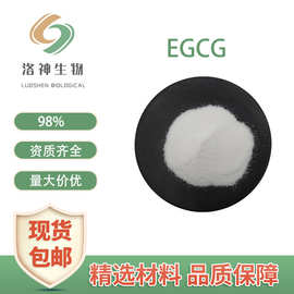 现货供应98%EGCG 表没食子儿茶素酸酯量大价优包邮绿茶提取物