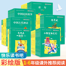 옷x һ꼉xnxʹһx˶꼉С