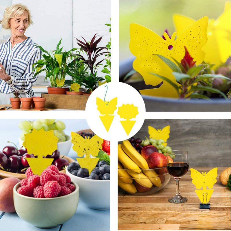 (개당 1센트) 특수형 접착판 100장