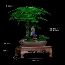 ��Ʒ���������҃Ȼ���ɽˮ�����辰ֲ��͏d�k���ҾGֲ�ߙn���辰