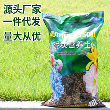 �̨�B���N�����I�B�������ЙC�������߲˻��ܷNֲ��ͨ�àI�B��