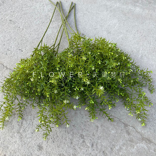 ���������GֲɭϵС���¾Gɫ��֦��c��ˇܛ�b�Ҿӿ͏d�廨�~��