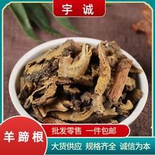 �����Sș������������ţ�������F������r��Ƭ