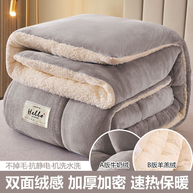 Lamb Wool Quilt New Winter Cotton Quilt Core Winter Dormitory Single Bed Autumn and Winter Quilt Thickened and Warm 5kg Wholesale