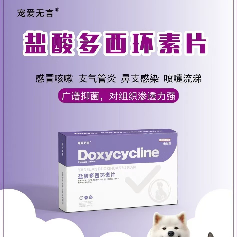 Pampering Yanless Dogs and Cats Duoxiclear 50 мг целая коробка из 16 таблеток для собак специальный медицинский уход безопасный и антибактериальный