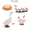 Cross -border simulation children's science and education simulation model growth cycle seed plant insect chicken duck and goose growth cycle