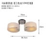 2 head ceiling with light source
