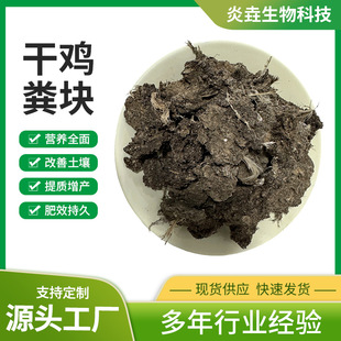 �N�������u�S�K�ЙC�����r�ҷ��uʺ���߲��B�����伃���u�S����
