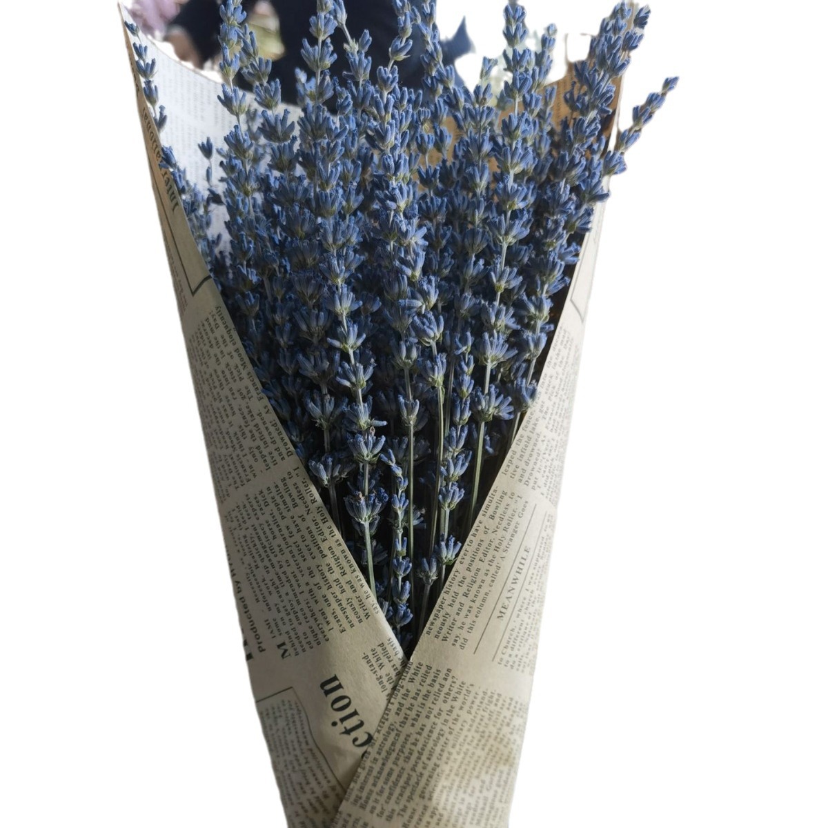 Xinjiang Yili lavanda flor seca oreja larga ramo de flores mixtas flor real permanente nueva flor origen suministro directo para la exportación a Amazon